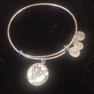 Alex and Ani charm bracelet